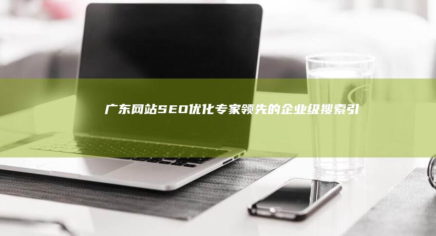 广东网站SEO优化专家：领先的企业级搜索引擎优化解决方案